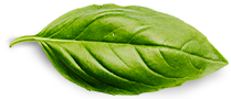 liubaoteahouse